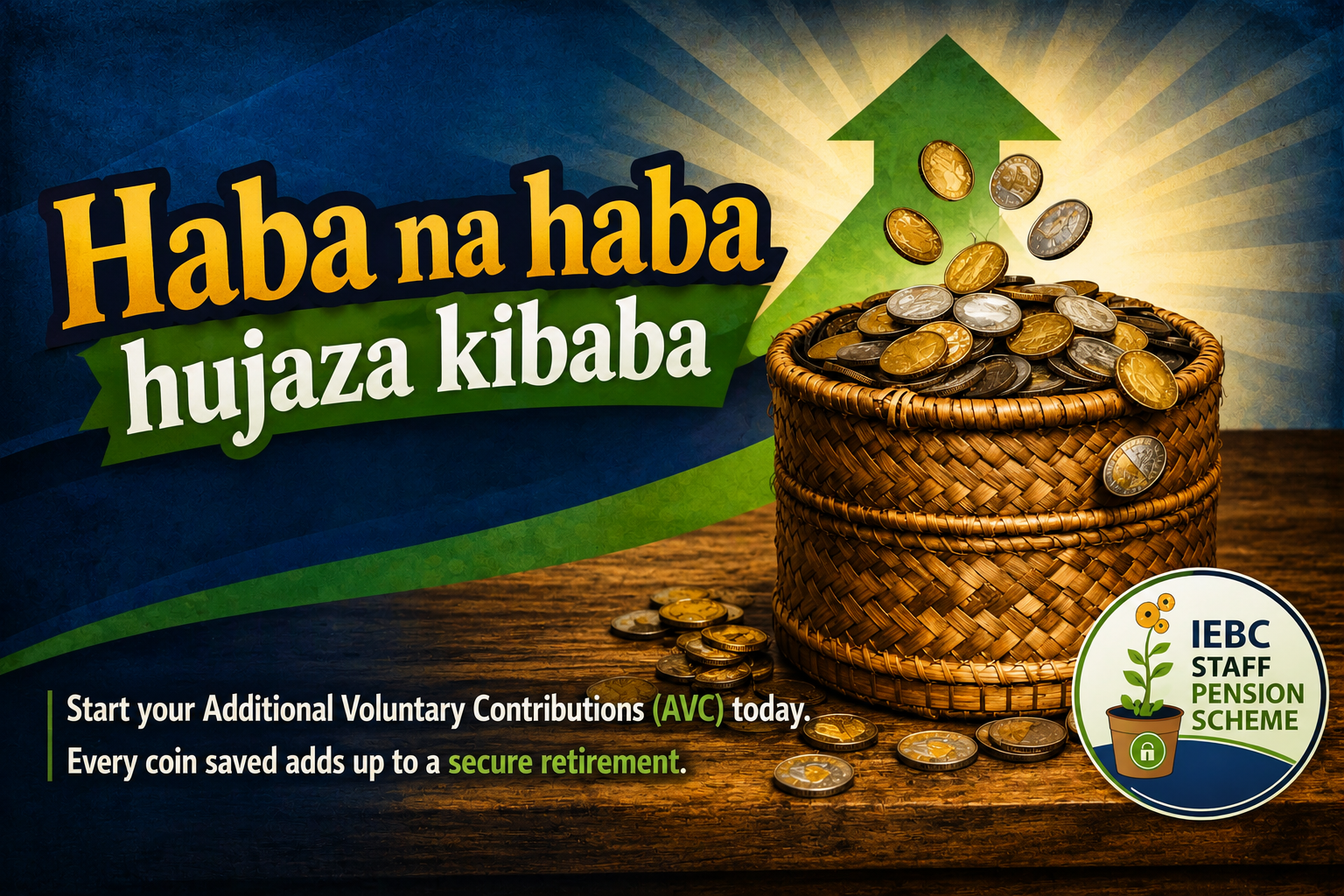 Additional Voluntary Contributions